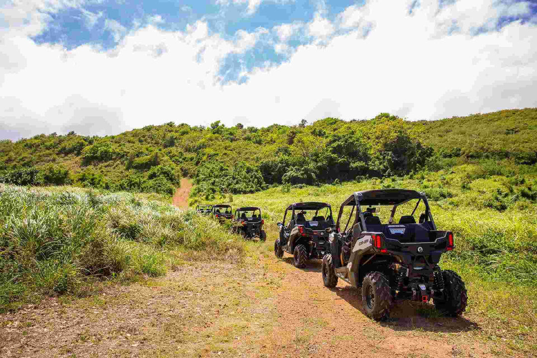 Dos Mares Rainforest + Mountain UTV Adventure – 1 hour guided tour - OffRoadPR