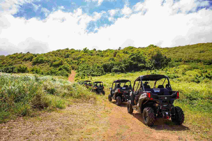 Dos Mares Rainforest + Mountain UTV Adventure β 1 hour guided tour - OffRoadPR